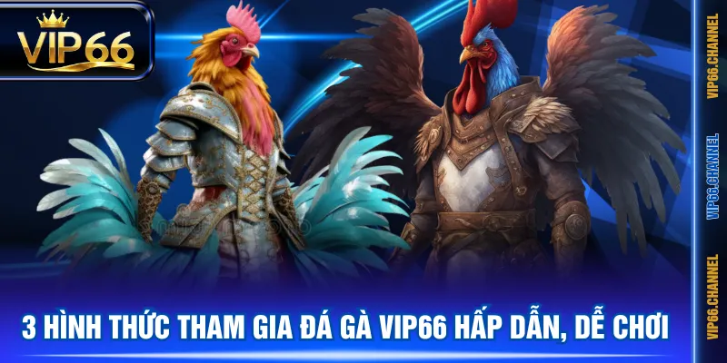 3 hình thức tham gia Đá Gà VIP66 hấp dẫn, dễ chơi