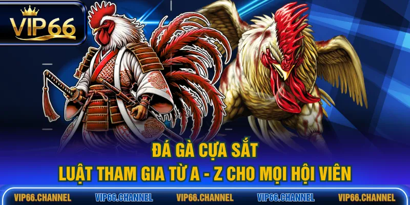 Đá gà cựa sắt