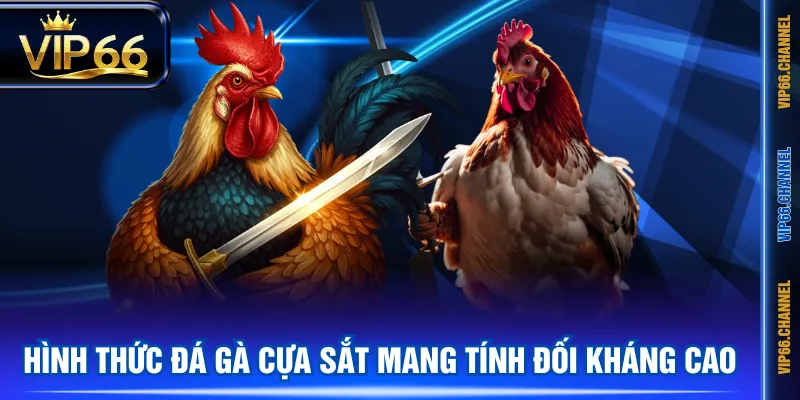 Hình thức đá gà cựa sắt mang tính đối kháng cao