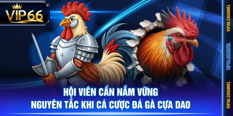 Hội viên cần nắm vững nguyên tắc khi cá cược đá gà cựa dao