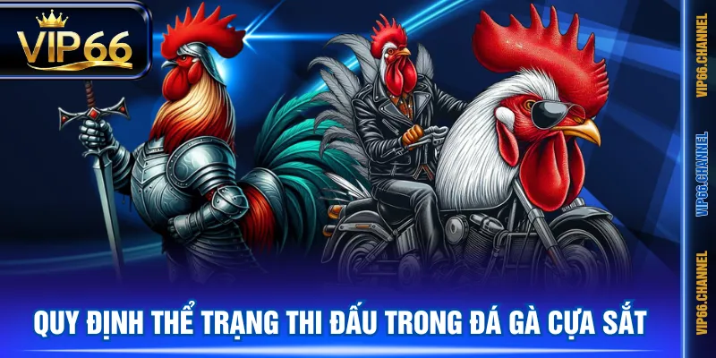 Quy định thể trạng thi đấu trong đá gà cựa sắt
