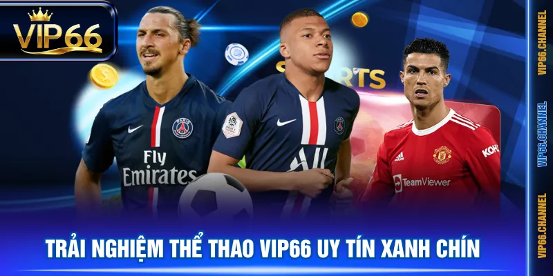 Trải nghiệm thể thao VIP66 uy tín xanh chín
