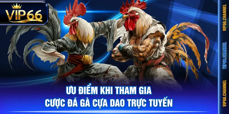 Ưu điểm khi tham gia cược đá gà cựa dao trực tuyến